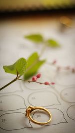 Close-up of plant and wedding ring on paper