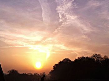 Silhouette of trees against dramatic sky