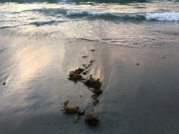 View of beach