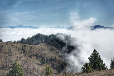 Fog on mountain