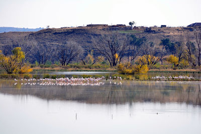 Scenic view of lake and mountains