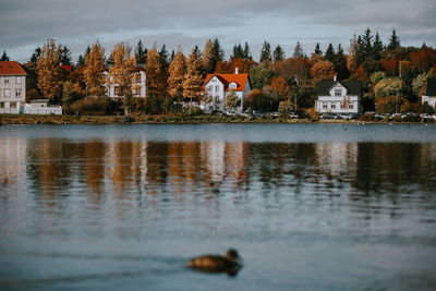Reflection of trees and buildings on lake