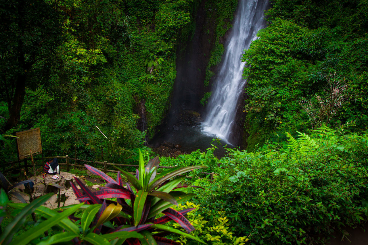 Putuktrunowaterfall