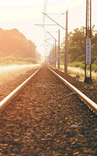 Railroad track amidst trees against sky