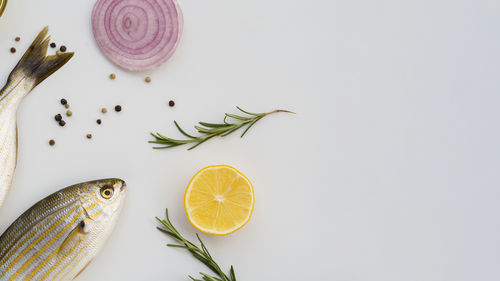 High angle view of food on white background