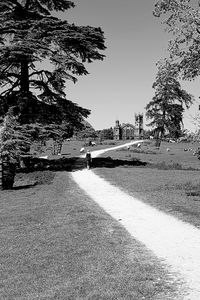 Man walking on road by trees against sky