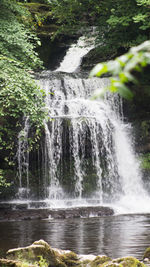 Scenic view of waterfall in forest