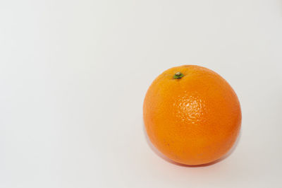 Close-up of orange fruit against white background