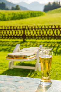 Drinking glass on table in lawn