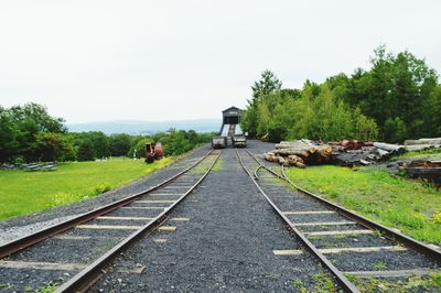 Railroad tracks in forest