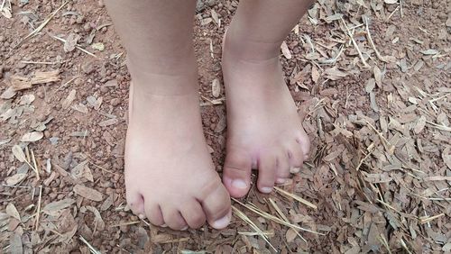 Low section of child standing on field