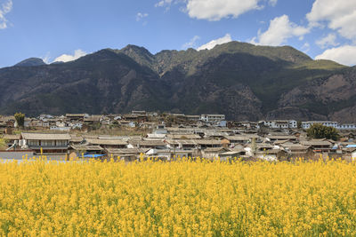 Scenic view of field against mountains