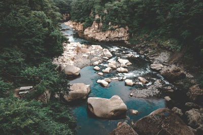 Scenic view of river amidst trees