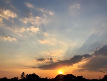 Low angle view of silhouette trees against sky during sunset