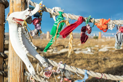 Animal bone and prayer flags hanging on rope at field