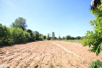 Dirt road amidst field against sky