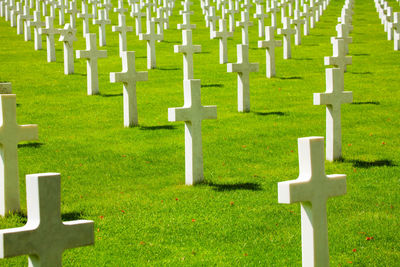 Row of cemetery