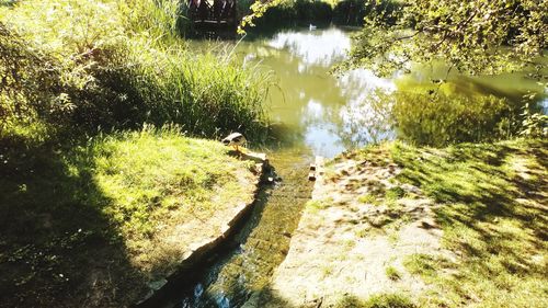 High angle view of a lake