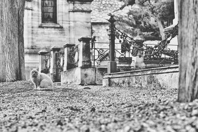 View of bridge against sky