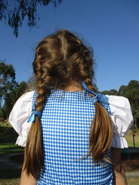 Rear view of girl with braided hair