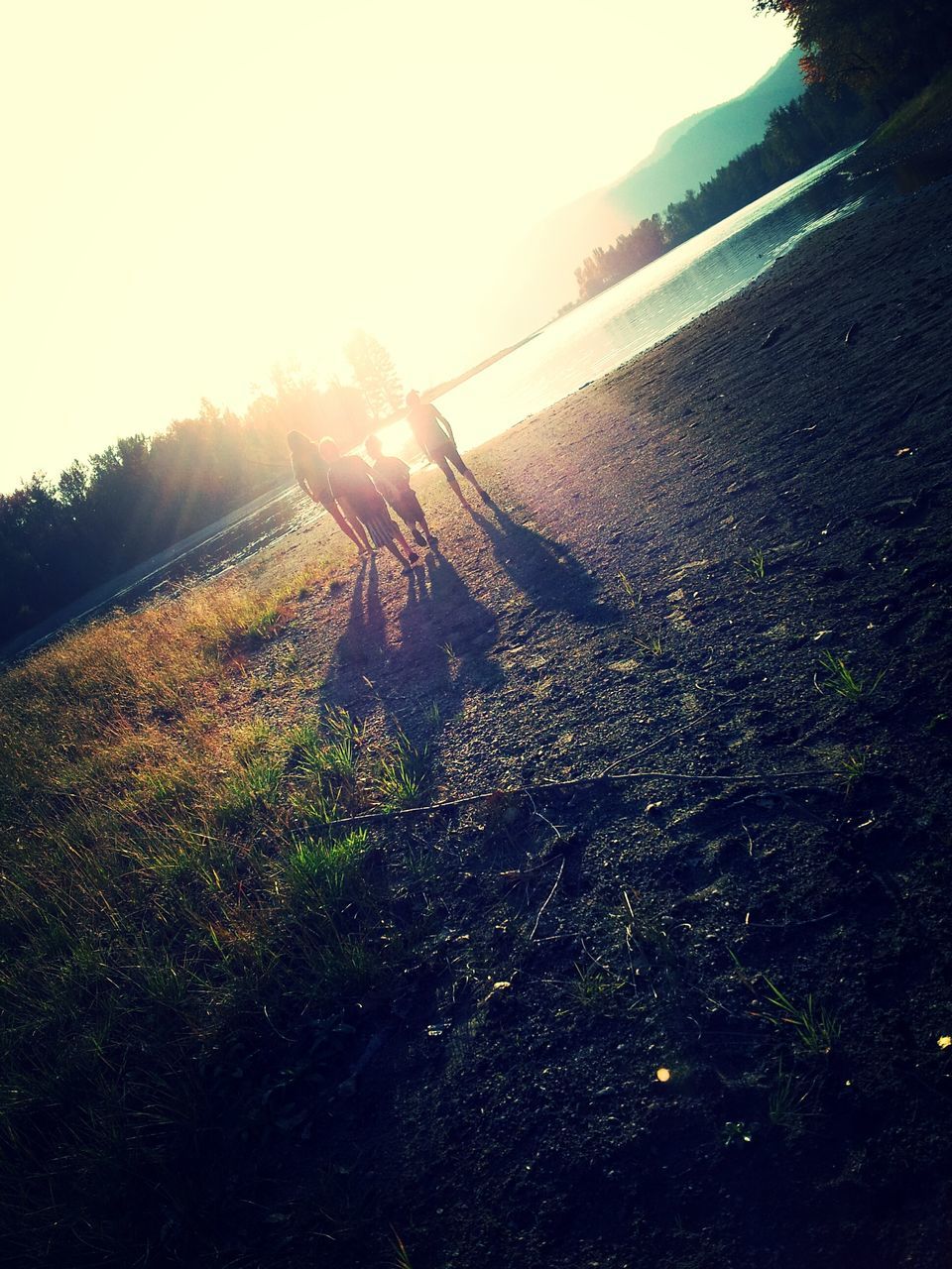 sun, sunlight, sunbeam, lens flare, clear sky, sky, tranquility, sunny, landscape, tranquil scene, nature, sunset, scenics, mountain, shadow, beauty in nature, outdoors, field, grass, beach