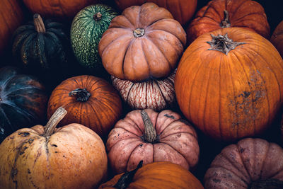 High angle view of pumpkins for sale at market