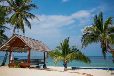 Palm trees on beach against blue sky