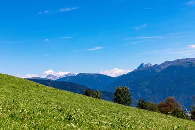 Scenic view of landscape against blue sky