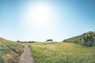 Scenic view of landscape against clear sky