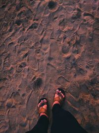 Low section of person standing on beach