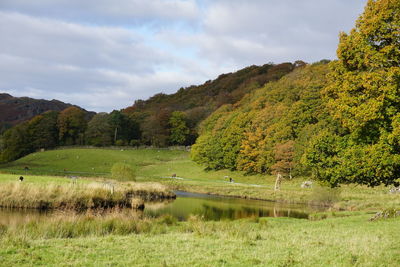 Scenic view of lake by trees against sky