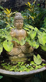 Close-up of statue against trees