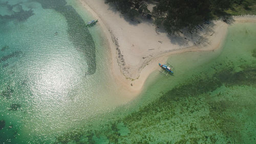 High angle view of trees by sea