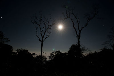Low angle view of silhouette trees against sky at night