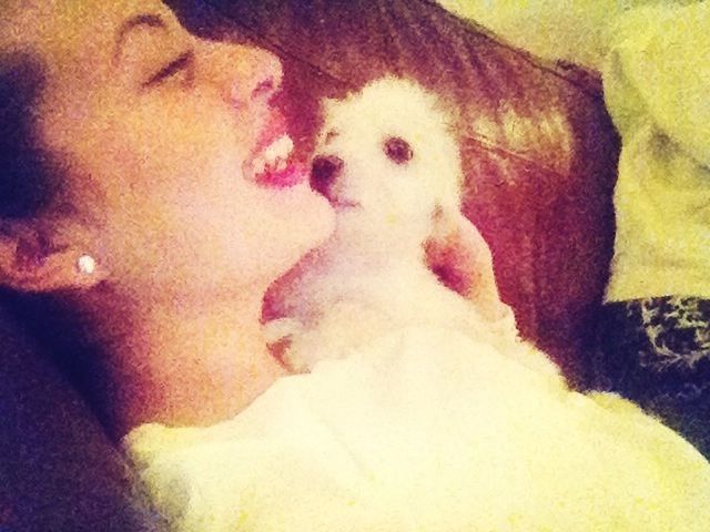 Licking my face 