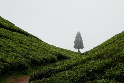 Scenic view of land against clear sky