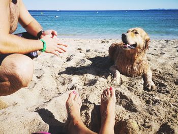 Low section of people with dog on beach