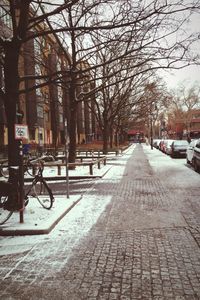 Road passing through bare trees