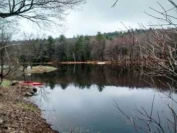 Reflection of trees in lake