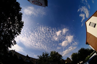 Low angle view of silhouette trees and buildings against sky