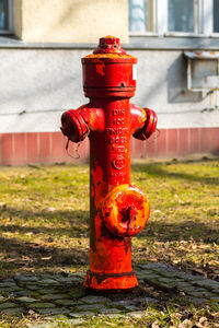 Close-up of fire hydrant on sidewalk