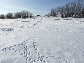 Scenic view of snow covered field against sky