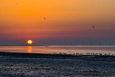 Scenic view of sea against orange sky