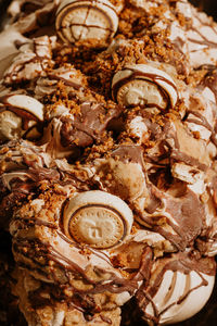 Close-up of seashells