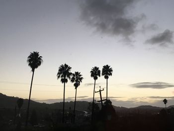 Silhouette palm trees against sky during sunset