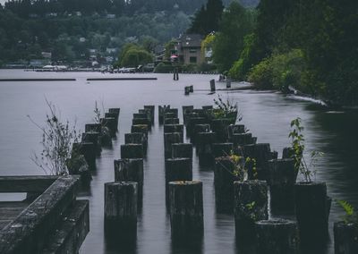 Scenic view of river by trees