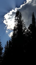 Low angle view of silhouette trees against sky