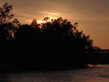 Silhouette trees against sky during sunset