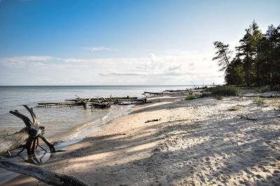 Scenic view of beach against sky