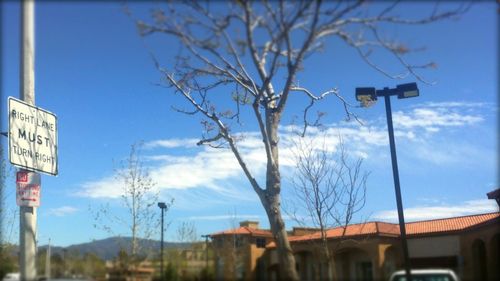 Low angle view of bare trees against blue sky